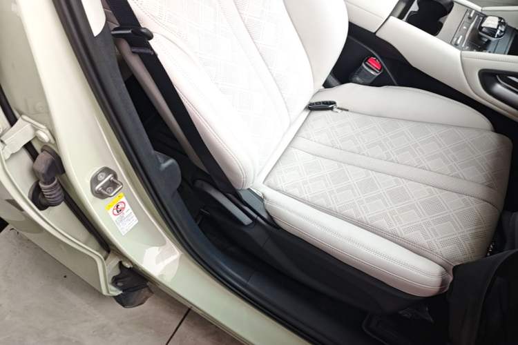 Used BYD Yuan UP 2024 401KM Leading Edition Right Front Seat