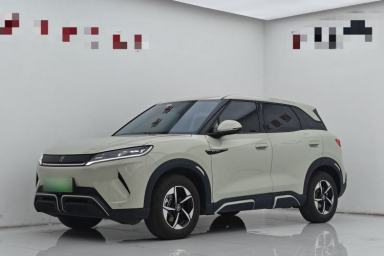 Used BYD Yuan UP 2024 401KM Leading Edition