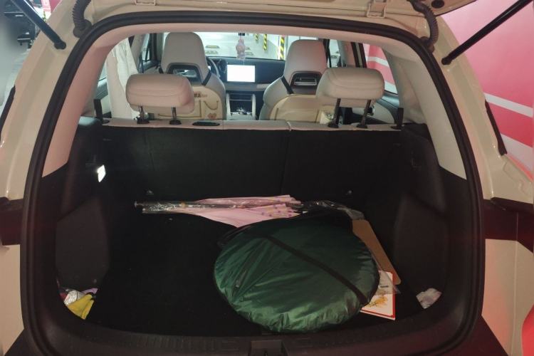 Used BYD Yuan UP 2024 401 km Active Version Trunk