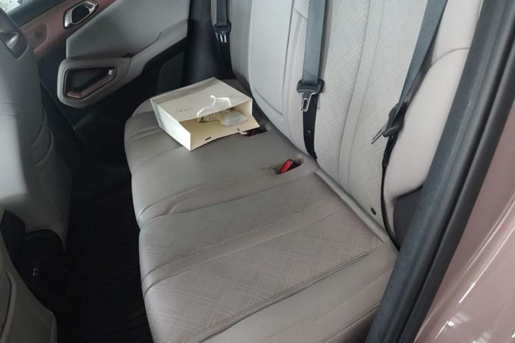 Used BYD Yuan UP 2024 401KM Beyond Edition Left Rear Seat