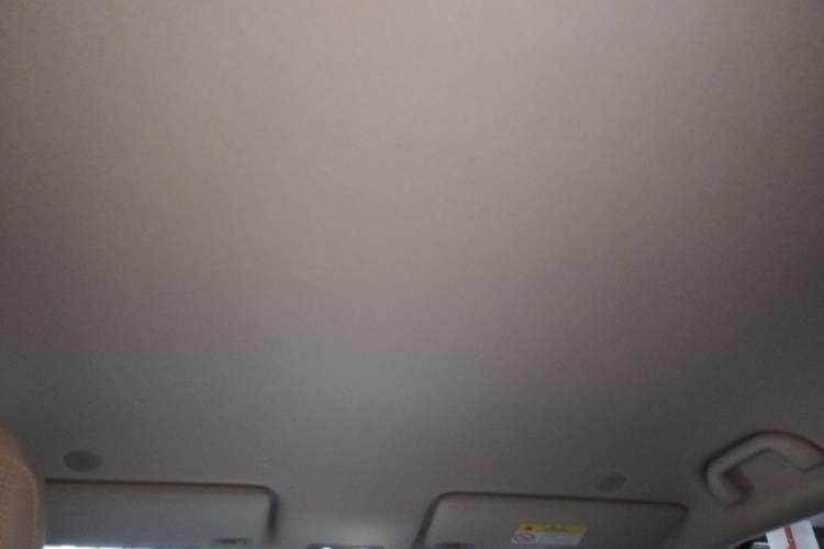 Used BYD Yuan UP 2024 401 km Active Version Headliner