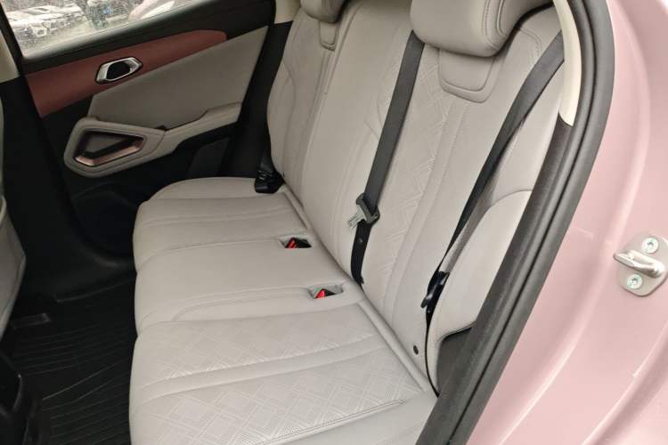 Used BYD Yuan UP 2024 401KM Beyond Edition Left Rear Seat