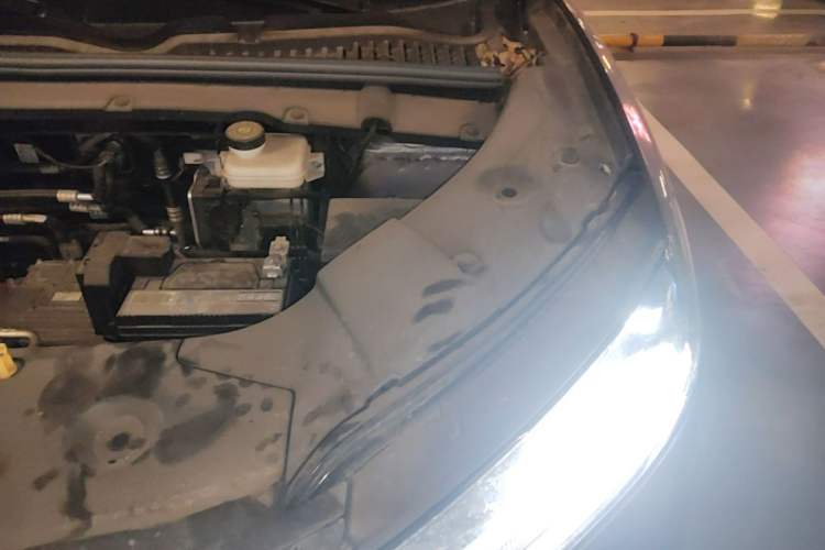 Used BYD Yuan UP 2024 401 km Active Version Engine Bay Left