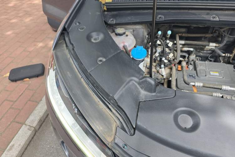 Used BYD Yuan UP 2024 401 km Active Version Engine Bay Right