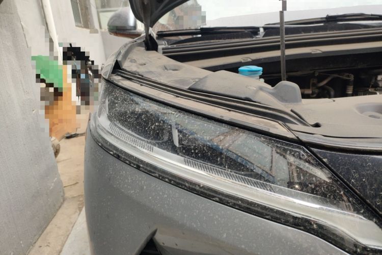 Used BYD Yuan UP 2024 401KM Leading Edition Exterior 6