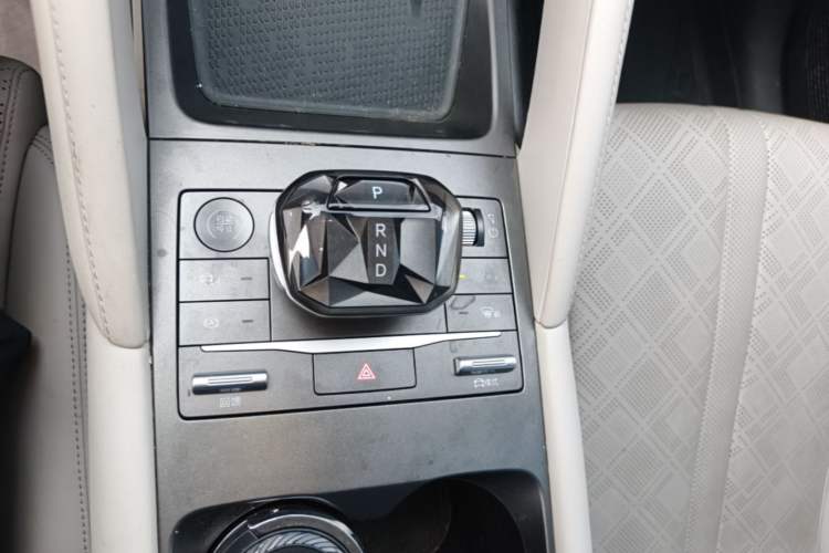 Used BYD Yuan UP 2024 401 km Active Version Gear Lever