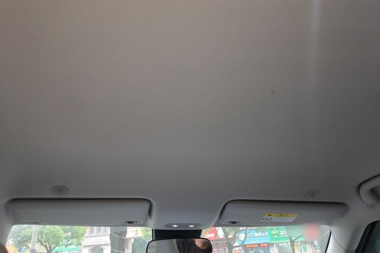 Used BYD Yuan UP 2024 401KM Leading Edition Headliner