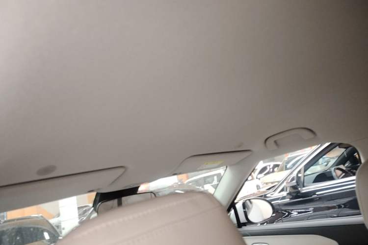 Used BYD Yuan UP 2024 401 km Active Version Headliner