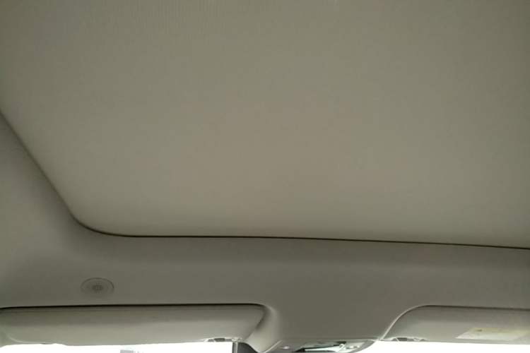 Used BYD Yuan UP 2024 401KM Beyond Edition Headliner
