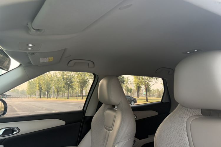 Used BYD Yuan UP 2024 401KM Leading Edition Headliner