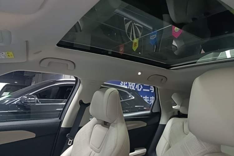 Used BYD Yuan UP 2024 401KM Beyond Edition Headliner