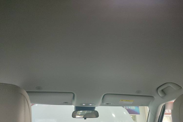 Used BYD Yuan UP 2024 401 km Active Version Headliner