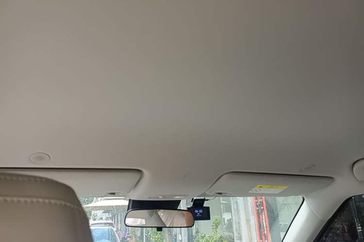 Used BYD Yuan UP 2024 401 km Active Version Headliner