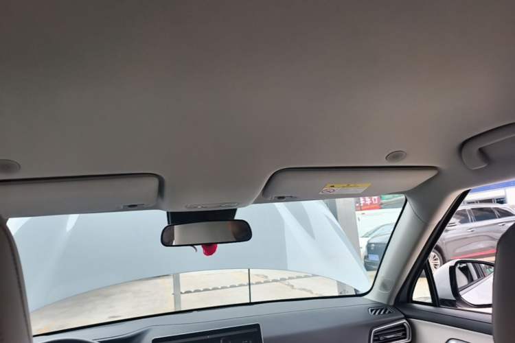 Used BYD Yuan UP 2024 401KM Leading Edition Headliner