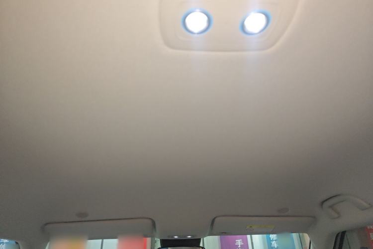 Used BYD Yuan UP 2024 301KM Leading Edition Headliner