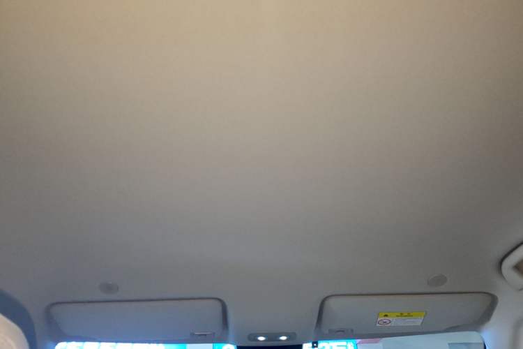 Used BYD Yuan UP 2024 301KM Leading Edition Headliner