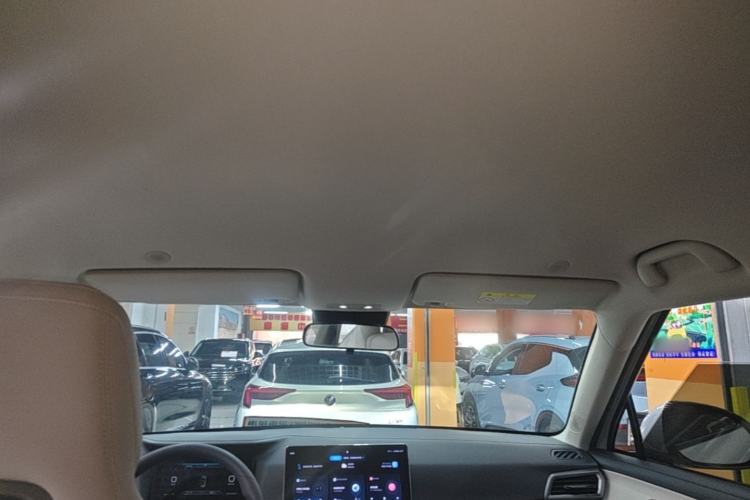 Used BYD Yuan UP 2024 401KM Leading Edition Headliner