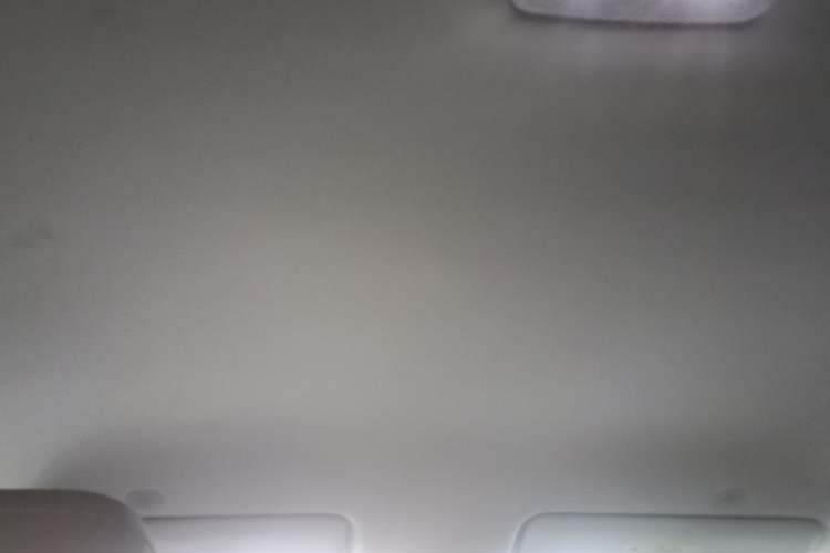 Used BYD Yuan UP 2024 401KM Leading Edition Headliner