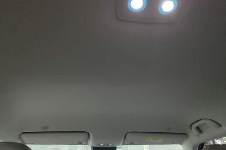 Used BYD Yuan UP 2024 401KM Leading Edition Headliner