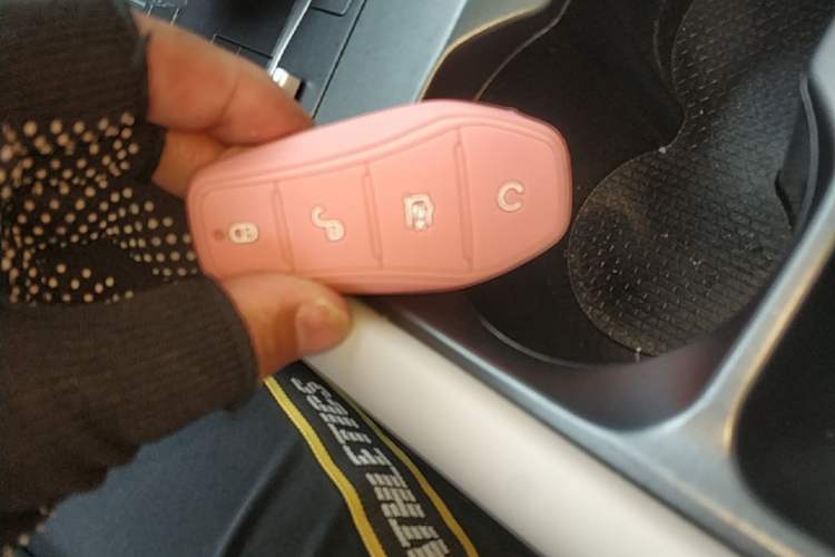 Used BYD Yuan UP 2024 401KM Beyond Edition Interior 1