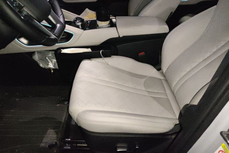 Used BYD Yuan UP 2024 401KM Beyond Edition Left Front Seat