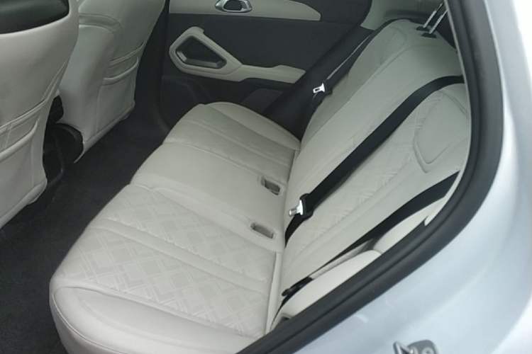 Used BYD Yuan UP 2024 401KM Beyond Edition Left Rear Seat