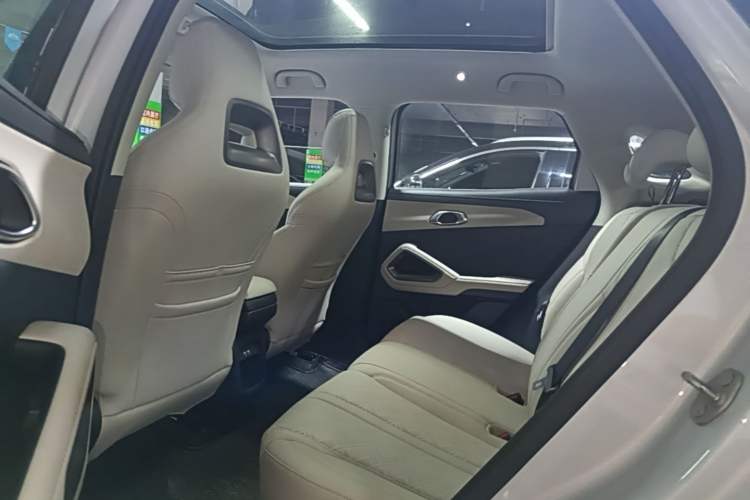 Used BYD Yuan UP 2024 401KM Beyond Edition Left Rear Seat
