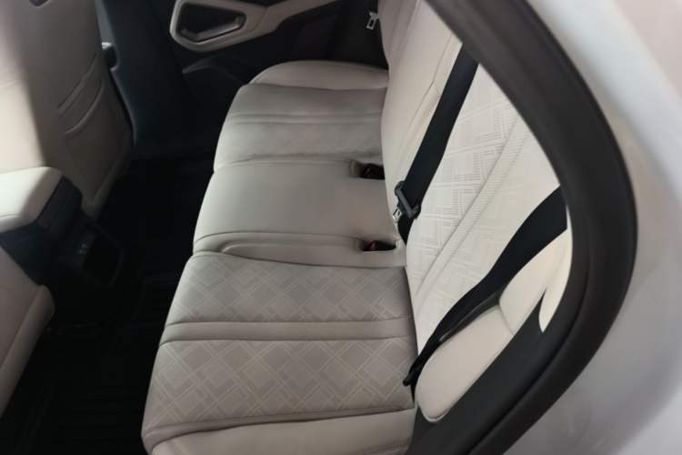 Used BYD Yuan UP 2024 401KM Leading Edition Left Rear Seat