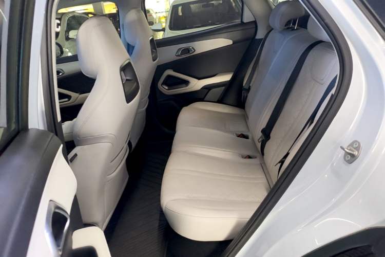 Used BYD Yuan UP 2024 301KM Leading Edition Left Rear Seat