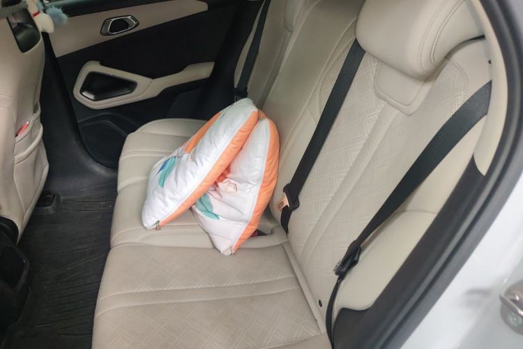 Used BYD Yuan UP 2024 401KM Leading Edition Left Rear Seat