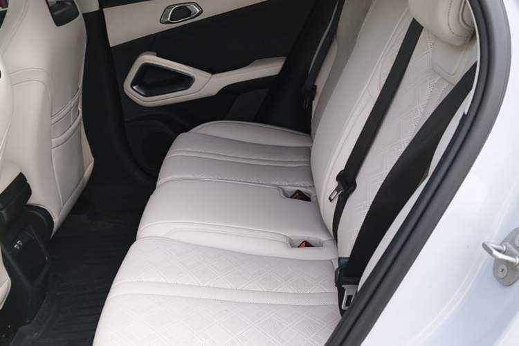 Used BYD Yuan UP 2024 401KM Leading Edition Left Rear Seat