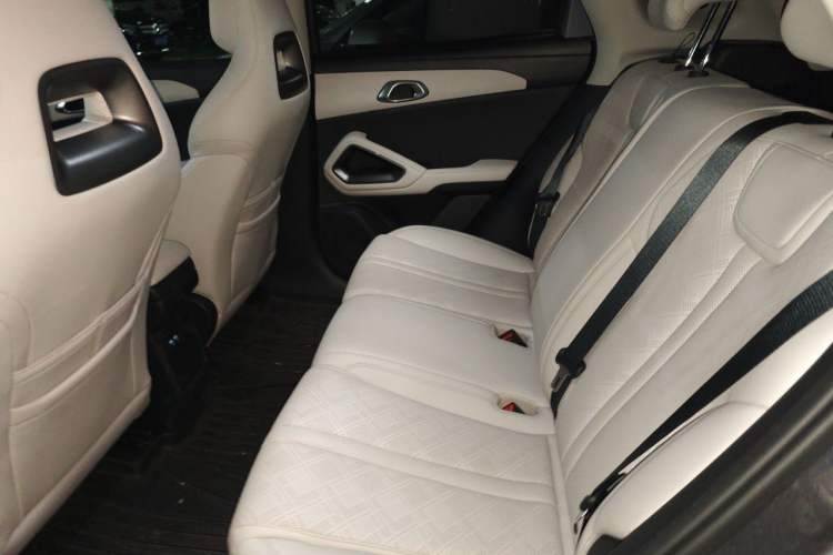 Used BYD Yuan UP 2024 401KM Leading Edition Left Rear Seat