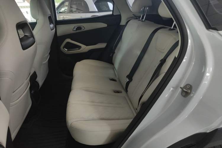 Used BYD Yuan UP 2024 401KM Leading Edition Left Rear Seat