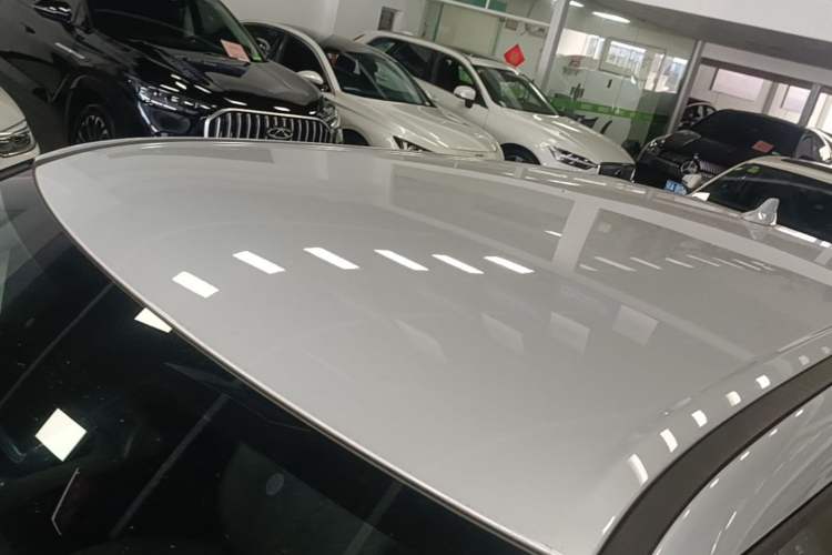 Used BYD Yuan UP 2024 401KM Leading Edition Roof