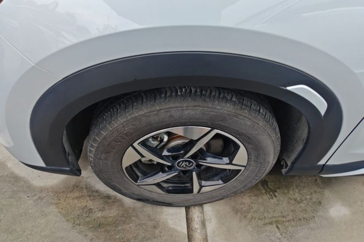 Used BYD Yuan UP 2024 401KM Leading Edition Exterior 4