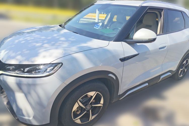 BYD Yuan UP 2024 401KM Leading Edition