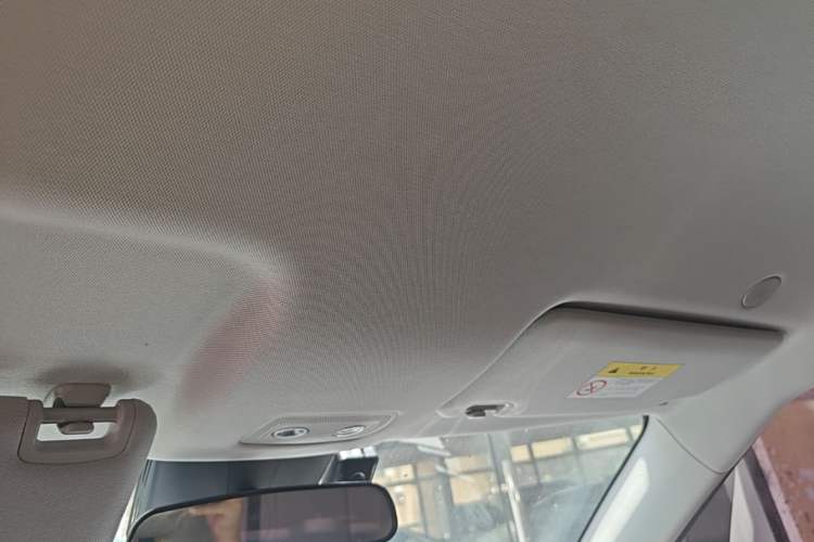 Used BYD Yuan UP 2024 401KM Leading Edition Headliner