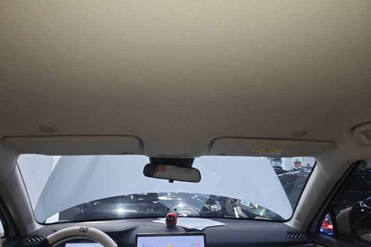 Used BYD Yuan UP 2024 401KM Leading Edition Headliner