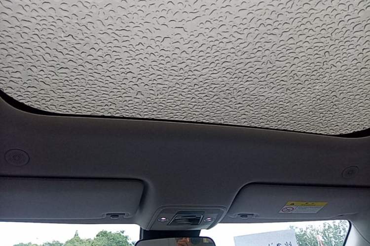 Used BYD Yuan UP 2024 401KM Beyond Edition Headliner