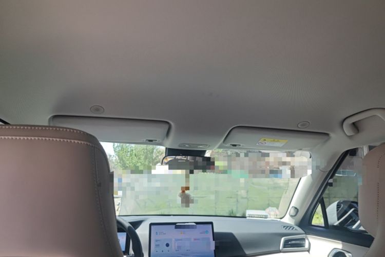 Used BYD Yuan UP 2024 401KM Leading Edition Headliner
