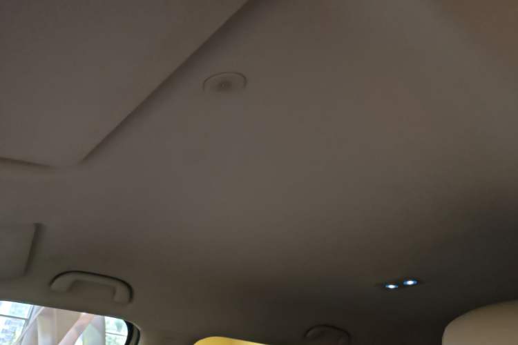 Used BYD Yuan UP 2024 401KM Leading Edition Headliner