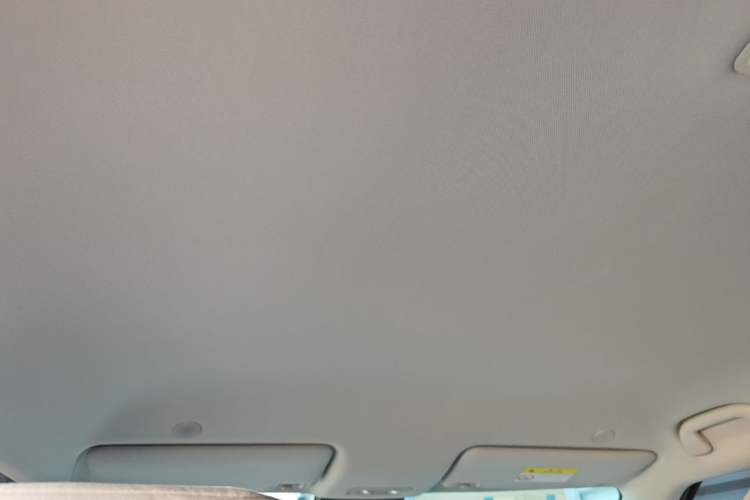 Used BYD Yuan UP 2024 401 km Active Version Headliner