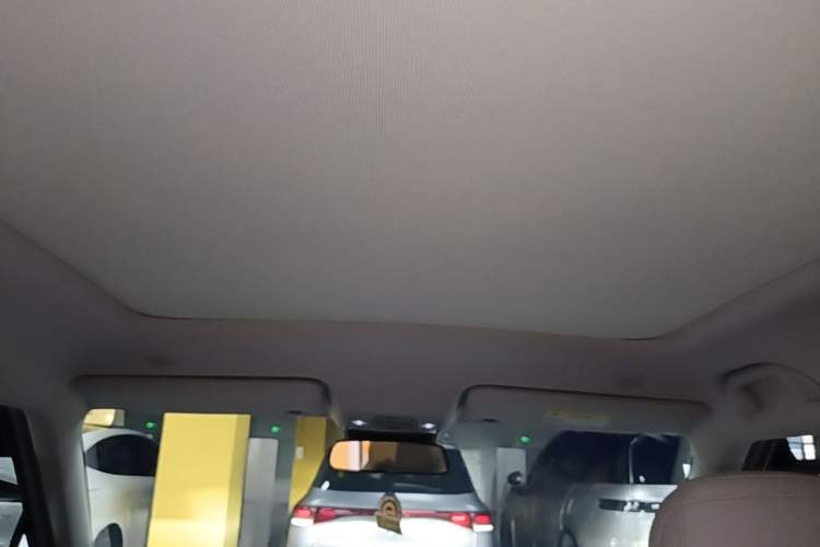 Used BYD Yuan UP 2024 401KM Beyond Edition Headliner