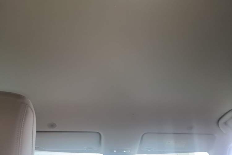 Used BYD Yuan UP 2024 401KM Leading Edition Headliner