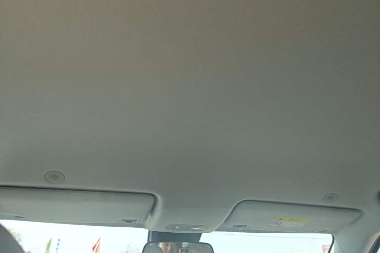 Used BYD Yuan UP 2024 401KM Leading Edition Headliner