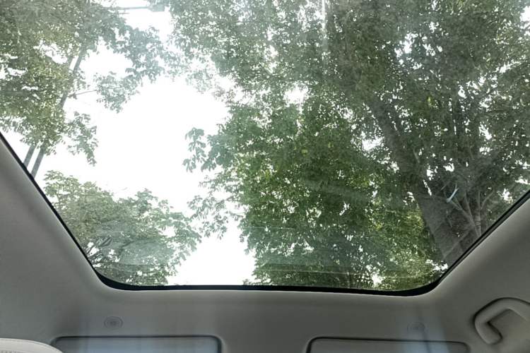 Used BYD Yuan UP 2024 401KM Beyond Edition Headliner