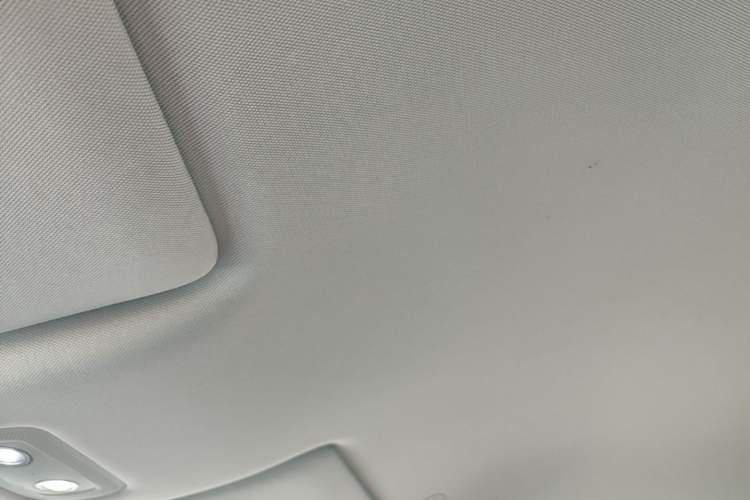 Used BYD Yuan UP 2024 401KM Leading Edition Headliner