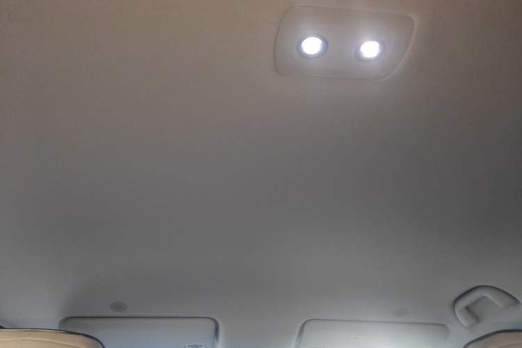 Used BYD Yuan UP 2024 401 km Active Version Headliner