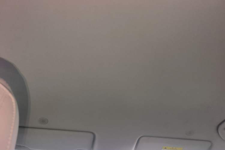 Used BYD Yuan UP 2024 401KM Leading Edition Headliner