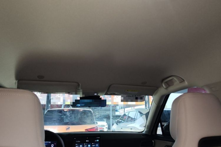 Used BYD Yuan UP 2024 401 km Active Version Headliner